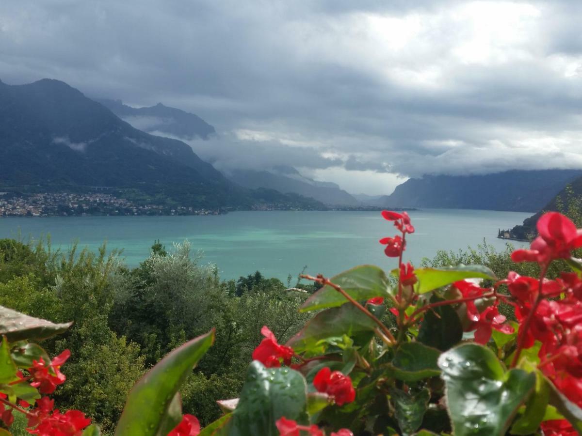 Alba E Tramonto Appartamenti Vista Lago بيلاجيو المظهر الخارجي الصورة