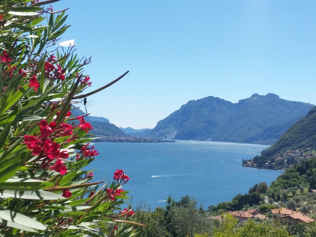 Alba E Tramonto Appartamenti Vista Lago بيلاجيو المظهر الخارجي الصورة